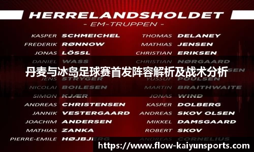 丹麦与冰岛足球赛首发阵容解析及战术分析
